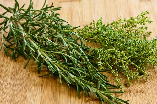 Romans-and-Their-Gift-of-Thyme