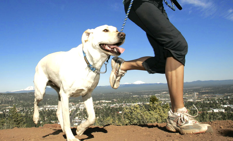 2-exercise-with-your-dog