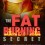 The Fat Burning Secret – Discover the Simple Basics of Fat Burning & Healthy Nutrition