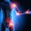 What should We Know About Inflammation in the Body?