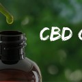 CBD Oil