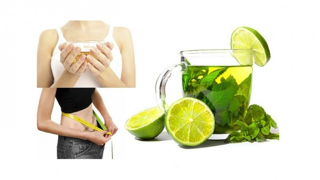 Herbaframe Teatox – A Best Detox Tea For Weight Loss
