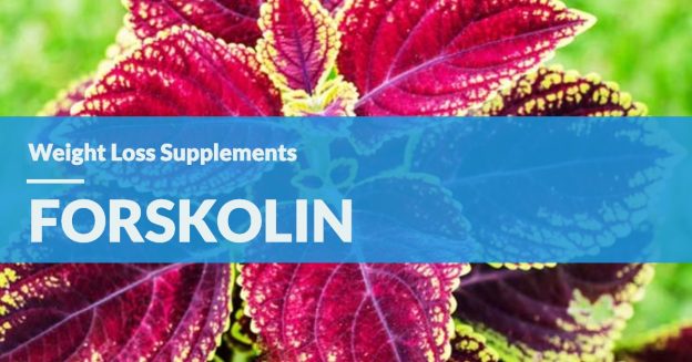 Forskolin Extract – Supplies The Right Nutrition For Your Weight-Loss!