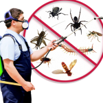 pest control