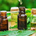 What are the Benefits of CBD?