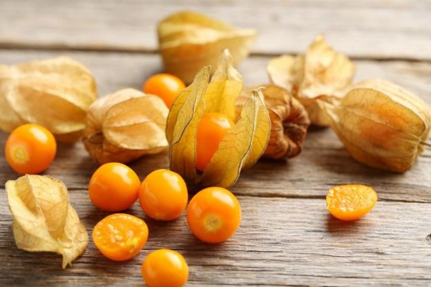 4 Surprising Health Benefits Of Physalis