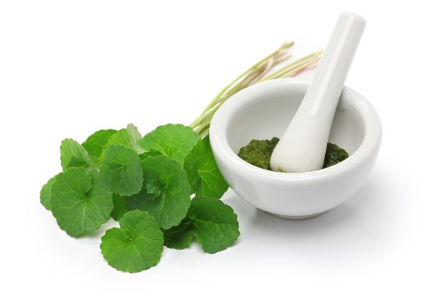 What Is Gotu Kola? Everything You Need To Know
