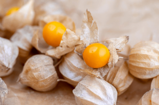 Physalis And Dragon Fruit: Which Is Better?