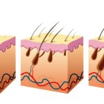 Lilac Corp's Natural Breakthroughs in Combating Major Diseases and Hair Loss