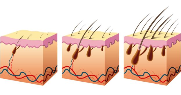 Revolutionizing Virus Treatment: Lilac Corp’S Natural Breakthroughs In Combating Major Diseases And Hair Loss